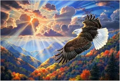 Produktbild von "Malen nach Zahlen: Adler in den Wolken, 50x40 cm, auf Leinwand, gerahmt. Kreatives Hobby."