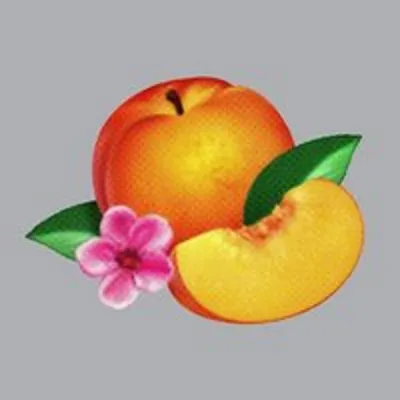 Produktbild von Bankrupt!