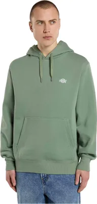 Produktbild von Dickies Hoodie DK0A4Y6PL191 in SEA SPRAY color size large
