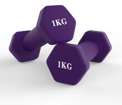 Produktbild von Hantelsatz mit Gewichten – Neoprenbeschichtete Kurzhanteln für das Home-Fitness – Set aus 2 Hanteln (Dunkellila, 1 kg)
