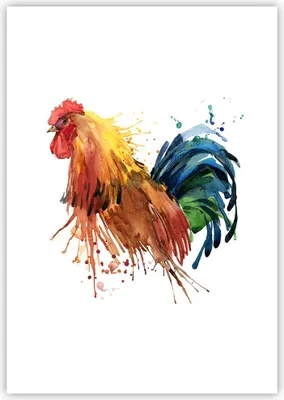 Produktbild von Poster - Poster ohne Rahmen - Hahn Ilustration Tier Farben - 70x100 cm - Wand Bild - Wanddeko - Wandbilder - Kunstposter - Wandposter - Bilder - Kunstdruck - Wandbild - P2XPA70x100-2842