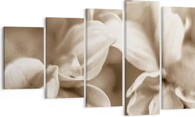 Produktbild von Bild auf Leinwand - Leinwandbild - 5 Teile - Blumen Boho ohne - 100x60cm - Wand Bild - Wanddeko - Wandbilder - Leinwanddruck - Bilder - Wanddekoration - Leinwand bilder - Wandbild - EG100x60-4767