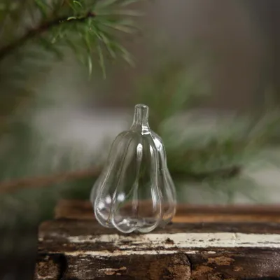 Produktbild von Kürbis Stenkullen - Glas