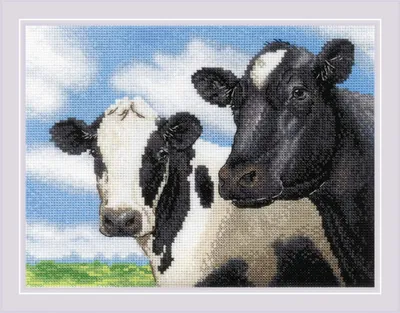 Obrázok produktu pre Balenie výšiviek krížikom Riolis "Kravy", počítaný vzor, 24x18cm