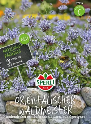 Produktbild von SPERLI Waldmeister Saatgut Orientalisch Asperula orientalis 40 Pflanzen