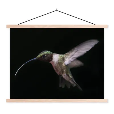 Produktbild von MuchoWow® Textilposter Kolibri - Vogel - Federn 40x30 cm mit holzfarbenen Rahmen - Bilder