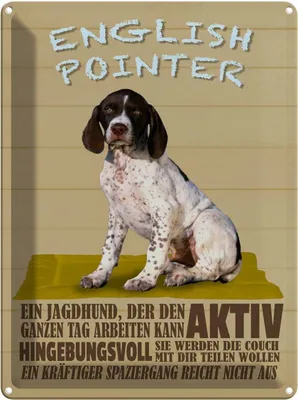 Produktbild von vianmo Blechschild 40x30 cm English Pointer Jagdhund aktiv Hund