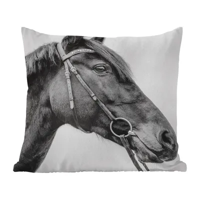 Produktbild von MuchoWow® Zierkissen Sofakissen Wohnzimmer Dekokissen 60x60 cm Pferd - Halfter - Porträt - Sitzfläche - Foto Polster