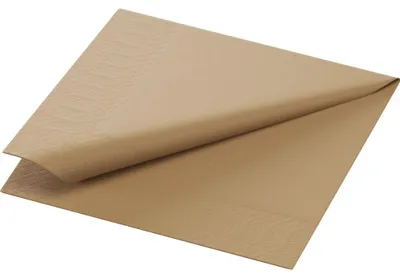 Zdjęcie produktu dla Duni Serviette EcoEcho 24x24cm 300 Stück