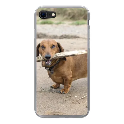 Produktbild von MuchoWow® Handyhülle Schutzhülle Hülle für iPhone 8 Ein schöner Dackel mit einem Stock im Maul Silikon Softcase Handy Hülle - Schutzhaube