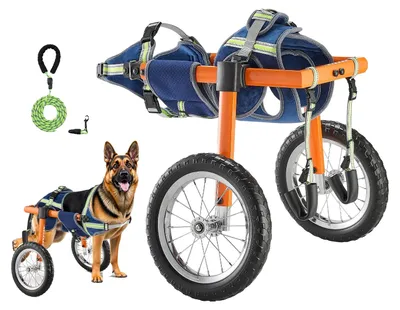 Produktbild von VEVOR 2-Rad-Hundewagen für die Hinterbeine, leichter und verstellbarer Haustierrollstuhl zur Unterstützung bei der Heilung, Hundewagen/Rollstuhl für verletzte, behinderte, gelähmte, schwache Hinterbeine (M), L