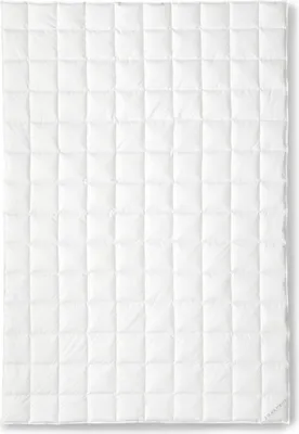 Produktbild von OBB Black Forest Sommerdecke Ava leicht 155x220 cm, Gänsedaunen-Einziehdecke