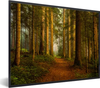 Produktbild von MuchoWow® Gerahmtes Poster Wald - Natur - Bäume - Landschaft - Laub 80x60 cm - Poster mit Schwarzem Bilderrahmen Wandposter Rahmen Foto Bilder - Schwarzem - Mit Gestell