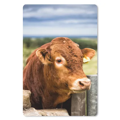 Produktbild von MuchoWow® Mauspad Mousepad Schottischer Highlander - Berg - Zaun 40x60 cm - Mousepads - Maus Mat - Pad - Mausunterlage - Schreibtisch Accesoire