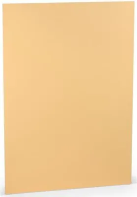 Produktbild von Karton A4 160 g/qm Melon