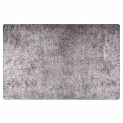 Obrázek produktu pro Koberec pratelný 80 x 150 cm šedý