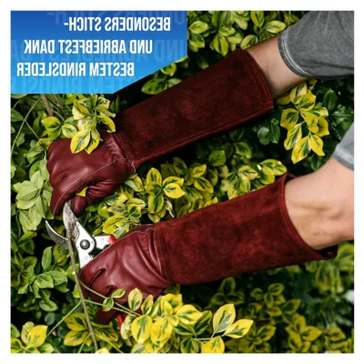 Produktbild von Dornensichere Rindslederhandschuhe - Mit Rückennaht für Bewegungsfreiheit und Komfort (L, Weiß)