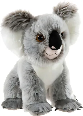 Produktbild von Plüsch Koala Bär 28cm sitzend, bedrohte Tiere