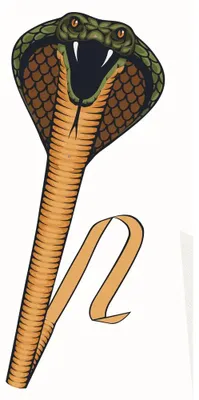 Obrázok produktu pre Detský šarkan Gunther Cobra GU1154 Čierny 69 x 64 cm