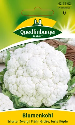 Produktbild von Blumenkohl, Erfurter Zwerg