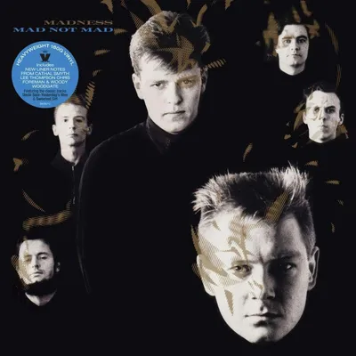 Image de Madness : Madness : Mad Not Mad (180g) - - (LP / M)