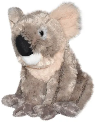 A plush koala toy is sitting on a white background.