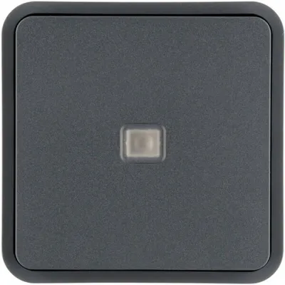 Image de Bascule 1gang, gris - Plaque de recouvrement 30763545