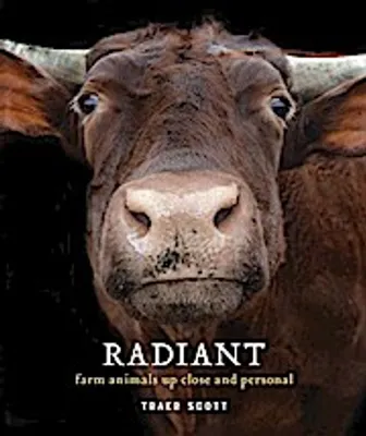 Image de Radiant