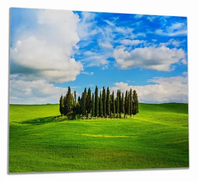 Produktbild von Wallario Herdabdeckplatte aus Glas, Größe 60 x 52 cm 1-teilig, Motiv Kleiner Wald inmitten einer weiten Wiese