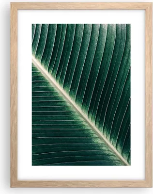 Produktbild von Gerahmtes Poster - Rahmen in heller Eiche - Grün Blatt Tropisch - 30x40 cm - Wand Bild - Wanddeko - Wandbilder - Wandposter - Bilderrahmen - Bilder - Kunstdruck - Wandbild - P2NPA30x40-4126