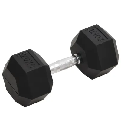 Image de Haltère 20 kg Fonte