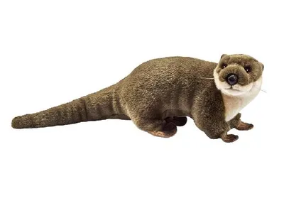 Produktbild von Anima 1792 Fischotter 25 cm Kuscheltier Stofftier Plüschtier