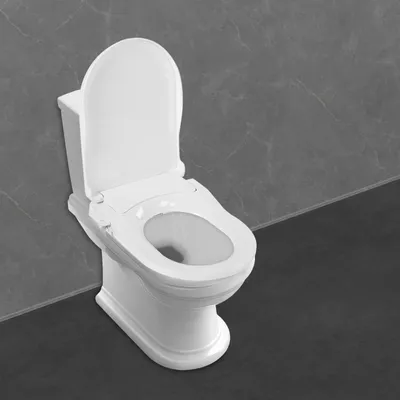 Produktbild von WC-Sitz mit Bidet - D-Form - 2 Düsen (Damen & Gesäß) - 3 Spülöffnungen - Lochabstand 11,5–16,5 cm - PP - Weiß