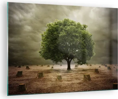 Produktbild von Bilder auf glas - Baum Feld Umwelt - 70x50cm - Glasbilder - Wandbilder - Kunstdruck - zum Aufhängen bereit - Wanddekoration aus Glas - Glas Bilder - Wandbild auf Glas - Einteilig - GAA70x50-2727