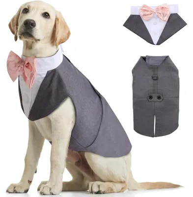 Productafbeelding van Honden smoking set met bandana, grijs, maten S-XXL