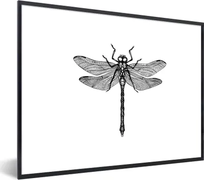 Produktbild von MuchoWow® Gerahmtes Poster Libelle - Insekten - Retro - Schwarz und weiß 40x30 cm - Poster mit Schwarzem Bilderrahmen Wandposter Rahmen Foto Bilder - Kunstposter - Wanddekorationen