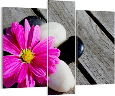 Produktbild von Bild auf Leinwand - Leinwandbild - Stein Blume Blütenblätter Chrysantheme - 95x80cm - Wand Bild - Wanddeko - Leinwanddruck - Bilder - Kunstdruck - Leinwand bilder - Wandkunst - CB95x80-2302