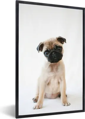 Produktbild von MuchoWow® Gerahmtes Poster Hund - Haustiere - Porträt 40x60 cm - Poster mit Schwarzem Bilderrahmen Wandposter Rahmen Foto Bilder - Papierdruck - Wandbilder