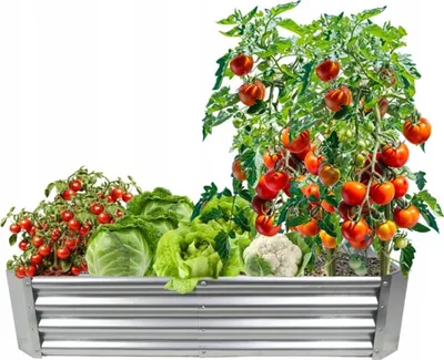 Zdjęcie produktu dla Podwyższona grządka 240 x 120 x 30 cm, prostokątna, ocynkowana – grządka ogrodowa, donica, skrzynka na kwiaty, grządka warzywna, inspekt, grządka na zioła, obrzeże grządki, obramowanie 8304