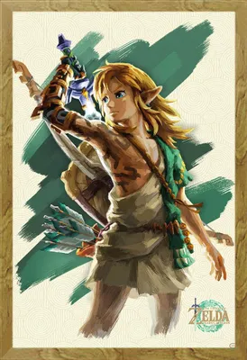 Image de Legend of Zelda, The - Poster - Link Unleashed + cadre interchangeable, Shinsuke® Maxi MDF chêne, vitre acrylique
