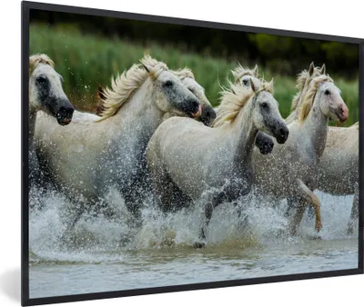 Produktbild von MuchoWow® MuchoWow® Gerahmtes Poster Pferde - Wasser - Natur 90x60 cm - Poster mit zchwarzem Bilderrahmen - Fotorahmen - Foto-Plakat