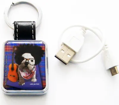 Produktbild von USB-FEUERZEUG Schlüsselanhänger in Box Teo Jasmin Hund Glühspirale Igniter 82(Motiv G)