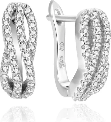 Produktbild von Elegante Silberohrringe mit Zirkonen AGUC2225L