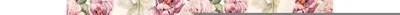 Produktbild von Coloray Fototapete 290x290 cm Latextapete Magicstick - Utensilien Anemonenblume.