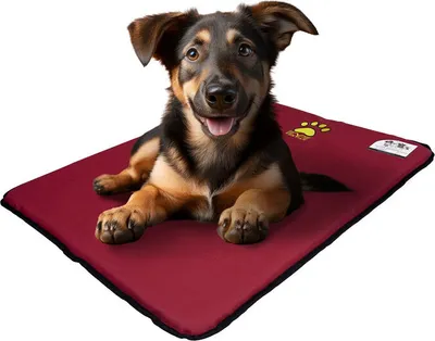 A dog lying on a red pet mat.