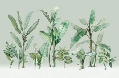 Produktbild von Sanders & Sanders Fototapete Palmblätter Grün 424 x 280 cm