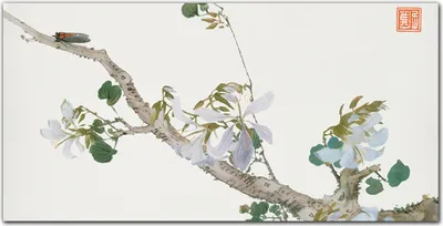 Produktbild von Coloray Küchenrückwand 120x60 Spritzschutz aus Glas - Insekten und Blumen