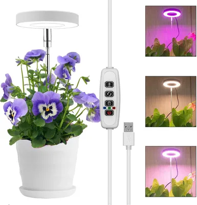 A potted plant with purple flowers sits next to a grow light and its control unit.