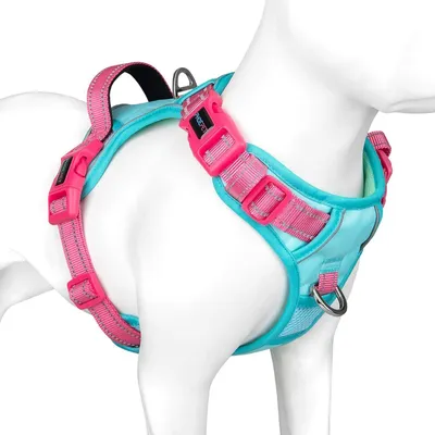 Productafbeelding van Antitrekharnes voor honden met handgreep, reflecterend, mintgroen/roze, maat L