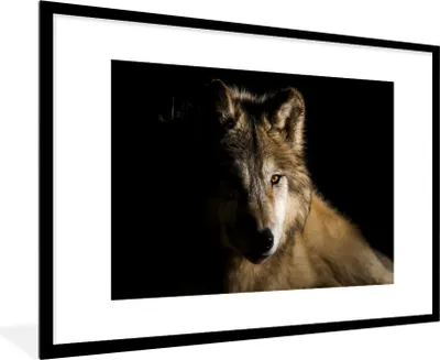 Produktbild von MuchoWow® Gerahmtes Poster Polarwolf 90x60 cm - Poster mit Schwarzem Bilderrahmen Wandposter Rahmen Foto Bilder - Wanddekoration - Fotos